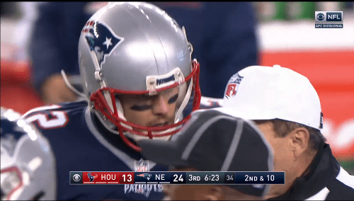 brady_comp_cropped_500