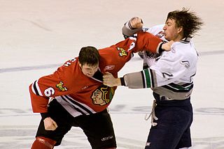 320px-Fight_in_ice_hockey_2009