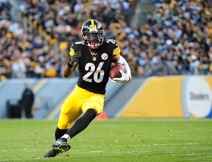 35835956691_6455b3e8ef_b